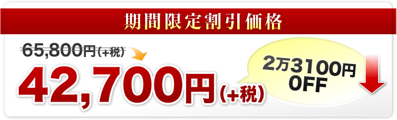 期間限定割引価格｜65,800円（+税）（+税）⇒42,700円の2万3100円OFF