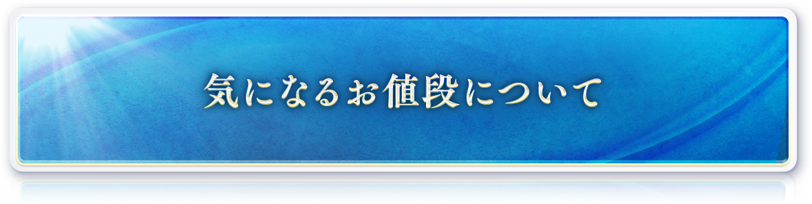 気になるお値段について