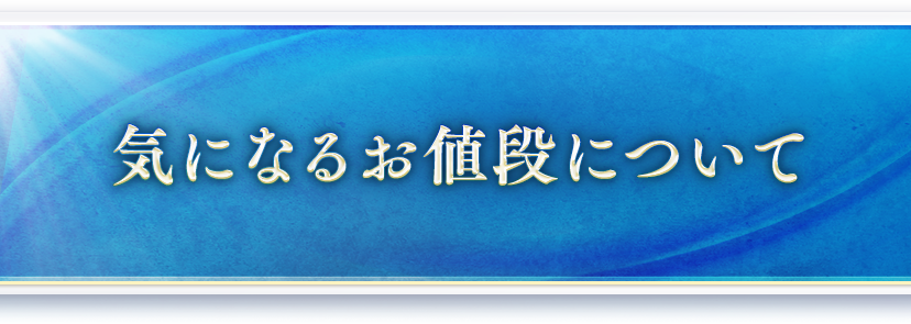 気になるお値段について