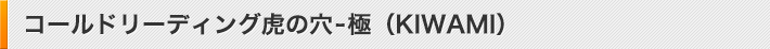 R[h[fBOՂ̌]ɁiKIWAMIj