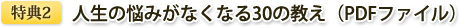 ŵ2Ǻߤʤʤ30ζPDFե