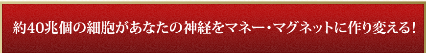 約４０兆個の細胞があなたの神経をマネー・マグネットに作り変える！