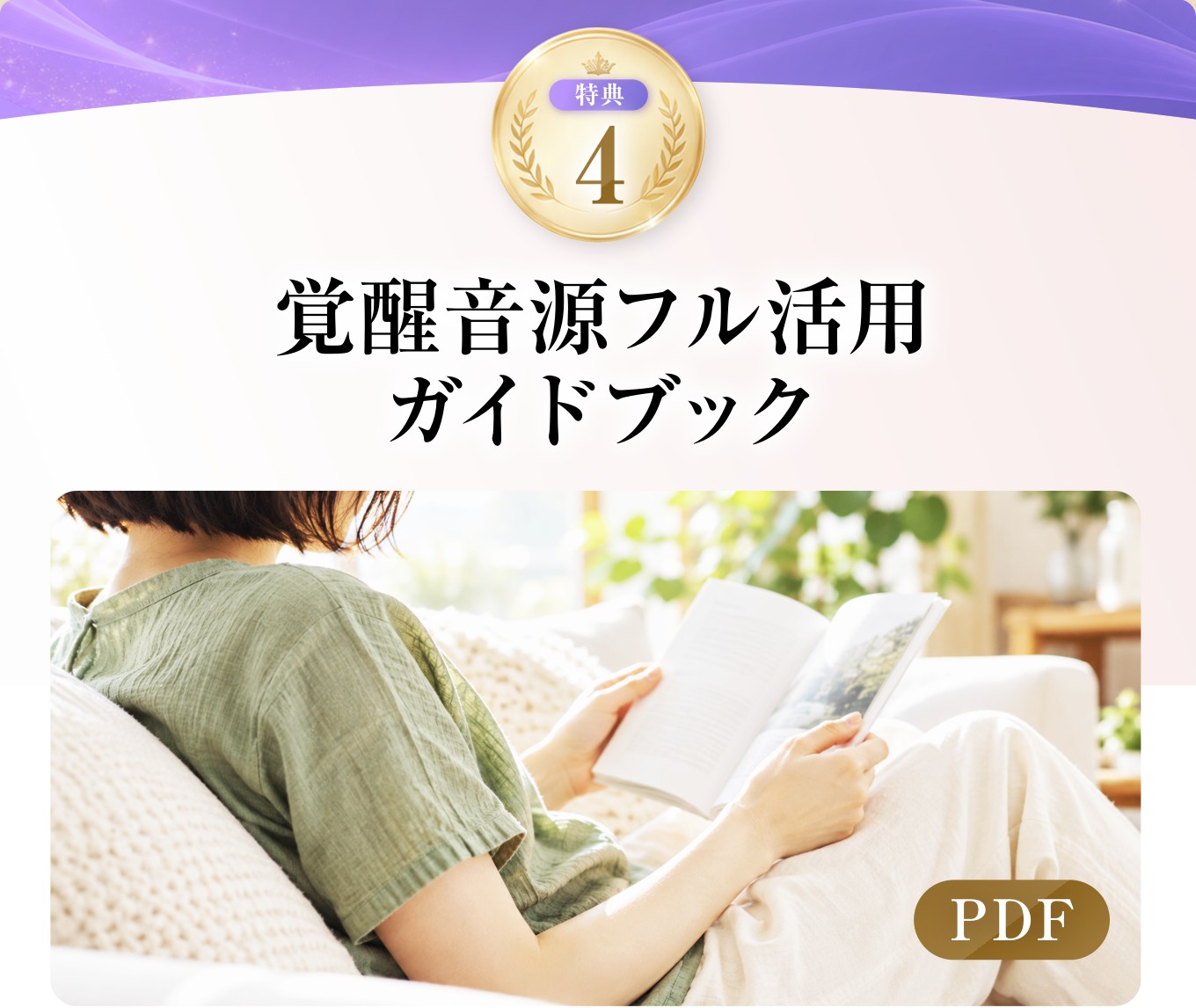 覚醒音源フル活用ガイドブック(PDF)