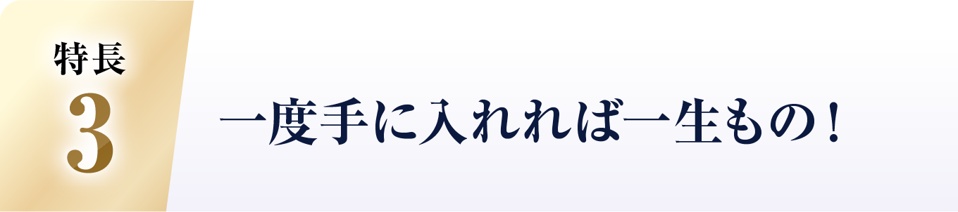 一度手に入れれば一生もの!