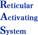 Reticular Activation System