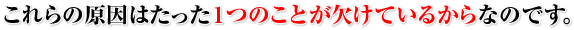これらの原因はたった1つのことが欠けているからなのです。