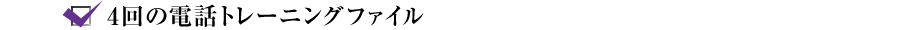 ☑4回の電話トレーニングファイル