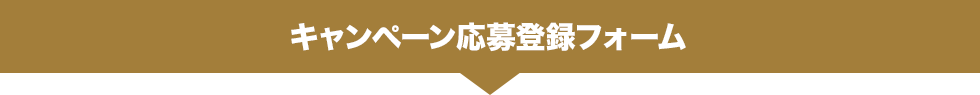 キャンペーン応募登録フォーム
