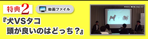 【特典②】動画 犬VSタコ　頭が良いのはどっち？