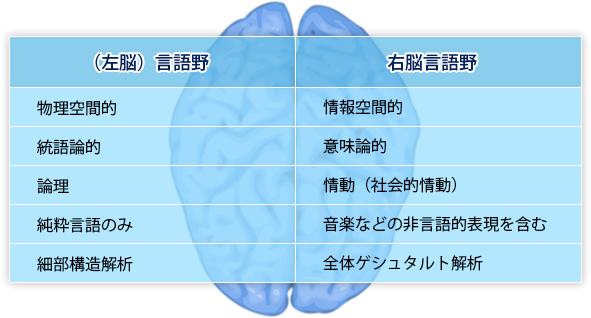 右脳言語野の覚醒