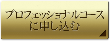 �v���t�F�b�V���i���R�[�X�ɐ\������