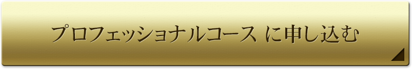 �v���t�F�b�V���i���R�[�X�ɐ\������