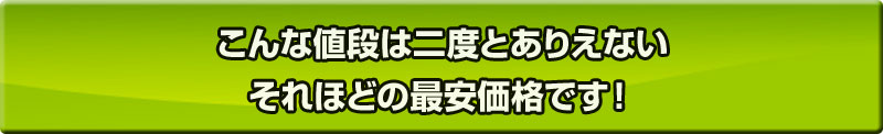 こんな値段は二度とありえない――それほどの最安価格です！