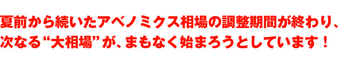 夏前から続いたアベノミクス相場の調整期間が終わり、次なる大相場が、まもなく始まろうとしています！