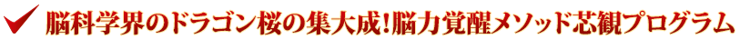 脳科学界のドラゴン桜の集大成！脳力覚醒メソッド芯観プログラム