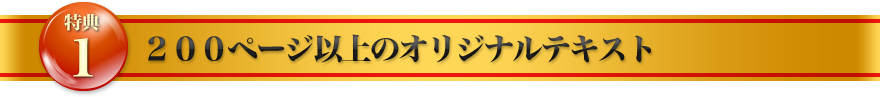 特典1：２００ページ以上のオリジナルテキスト