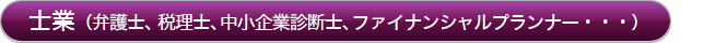 士業（弁護士、税理士、中小企業診断士、ファイナンシャルプランナー・・・）