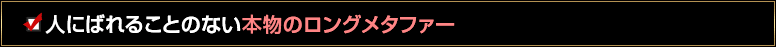 人にばれることのない本物のロングメタファー