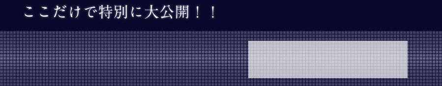 ここだけで特別に大公開!!