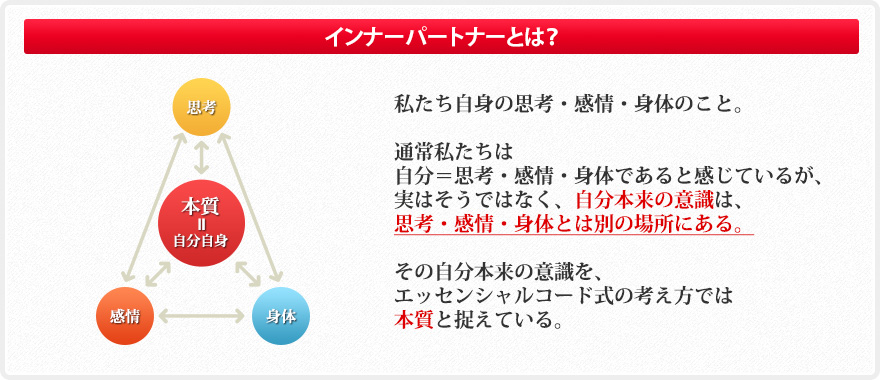 インナーパートナーとは