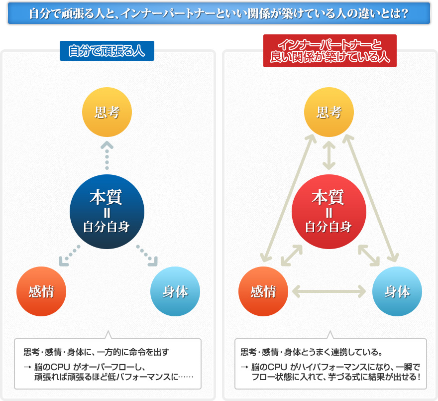 インナーパートナーとは