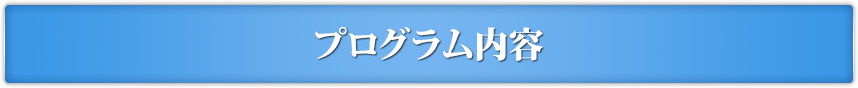 プログラム内容