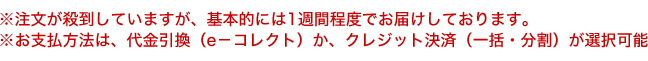 ※注文が殺到していますが、基本的には1週間程度でお届けしております。 ※送料は、当社で負担させていただきます。 ※お支払方法は、代金引換（e－コレクト）か、クレジット決済（一括・分割）が選択可能