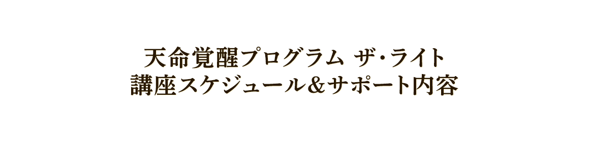 『天命覚醒プログラム ザ・ライト』スペシャル特典