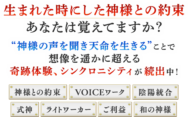 天命覚醒プログラム ザ ライト