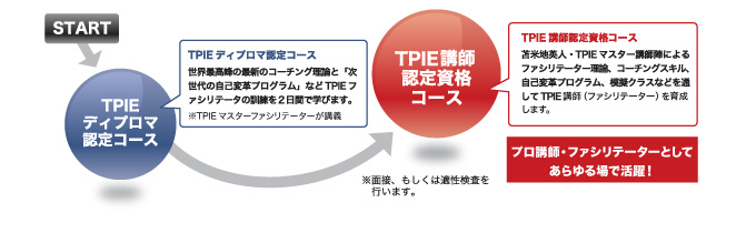 TPIEu̗