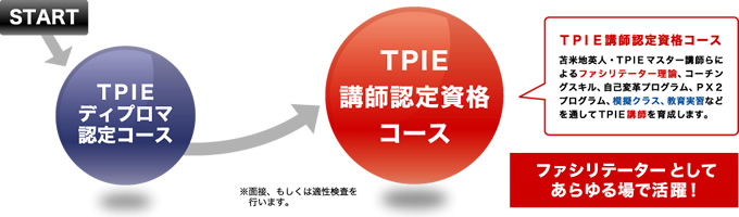 TPIEu̗
