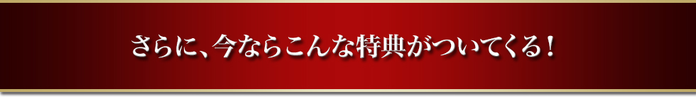 さらに、今ならこんな特典がついてくる！