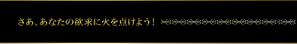 さあ、あなたの欲求に火を点けよう！